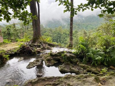 Chiang Mai Half Day Tour: Sticky Waterfall & Hotel Transfer - Getting There From Chiang Mai: Burger King Tha Pae and a Curvy Road