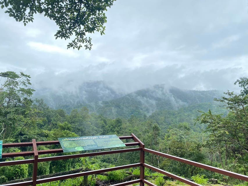 Chiang Mai Half Day Tour: Sticky Waterfall & Hotel Transfer - Comfort on the Road: Vans, A/C, and Driver Behavior