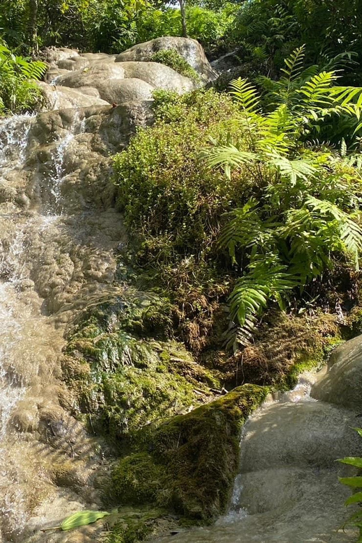 Chiang Mai Half Day Tour: Sticky Waterfall & Hotel Transfer - Who This Tour Fits Best (And Who Should Skip)