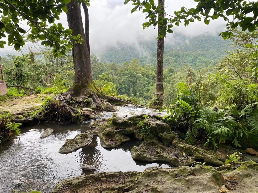 Chiang Mai Half Day Tour: Sticky Waterfall & Hotel Transfer - Getting There From Chiang Mai: Burger King Tha Pae and a Curvy Road