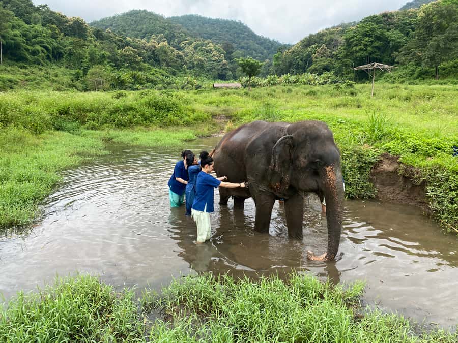 Chiang Mai: Small Group Ethical Elephant Sanctuary Tour - Practical checklist: what to bring and how to be comfortable