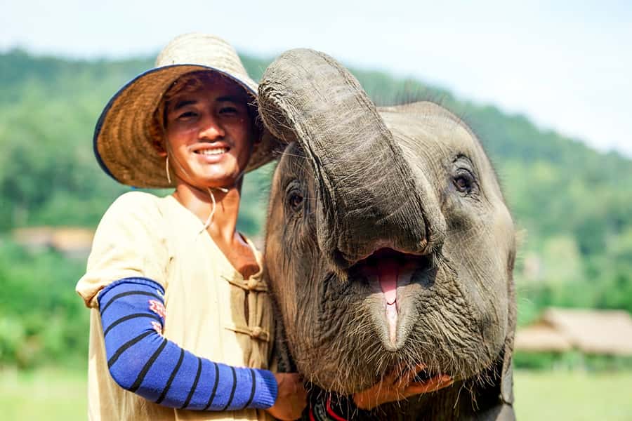 Chiang Mai: Small Group Ethical Elephant Sanctuary Tour - Pick-up timing and getting there without stress