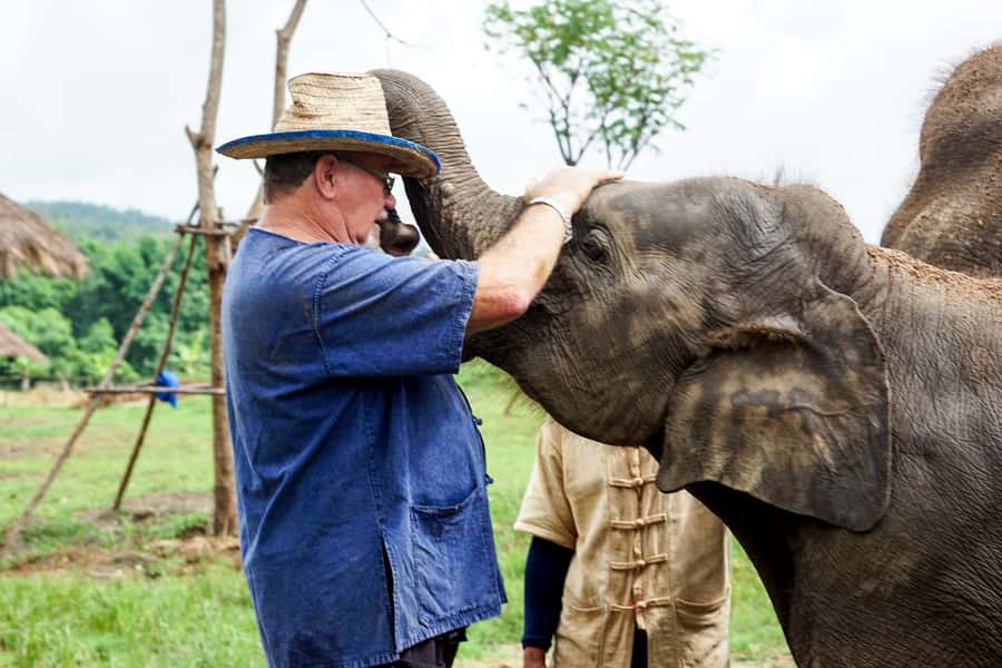 Chiang Mai: Small Group Ethical Elephant Sanctuary Tour - Walking through the sanctuary grounds: nature time with rules