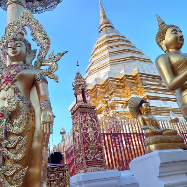Chiang Mai: Wat Pha Lat & Wat Phra That Doi Suthep Tour - Wat Phra That Doi Suthep: 306 Steps, a Gold Relic Pagoda, and Real Views