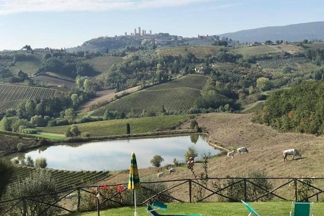 Chianti Wineries Tour with Tuscan Lunch and San Gimignano - Why This Chianti and San Gimignano Day Trip Works from Florence