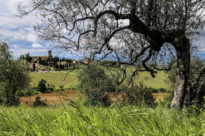 Chianti Wineries Tour with Tuscan Lunch and San Gimignano - Price and value: is $229.77 per person fair?