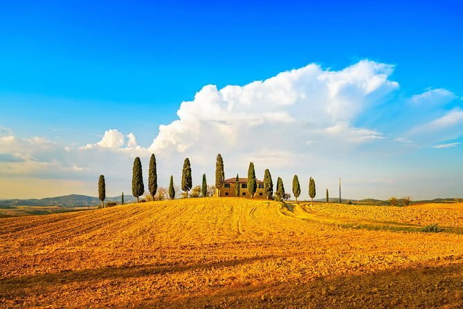 Cinque Terre and Pisa Full Day Tour from Florence - Pisa: Getting the Iconic Shots Without Losing the Day