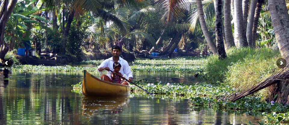 Cochin: Backwater Village Eco Boat Cruise with Lunch - Price and Value: What $33 Buys You (and What It Doesn’t)