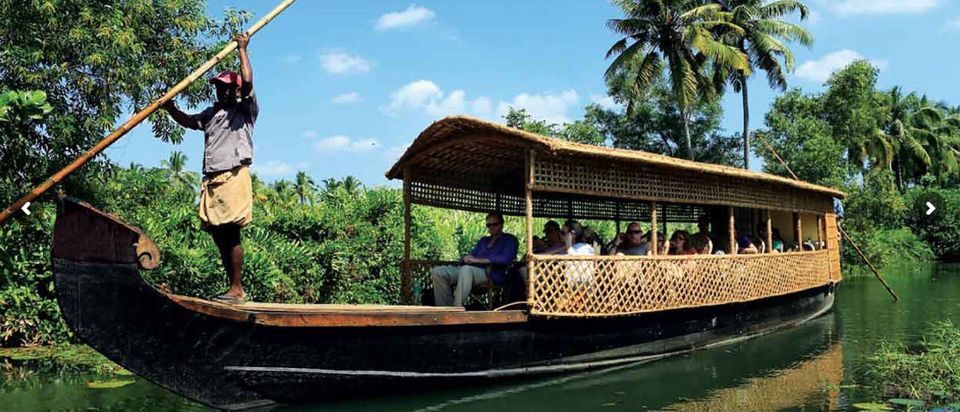 Cochin: Backwater Village Eco Boat Cruise with Lunch - Who This Tour Suits Best