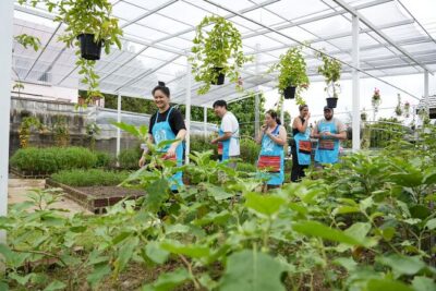 Cooking Class with Organic Farm in Chiang Mai at Mama Noi - The organic garden stop that makes flavors make sense