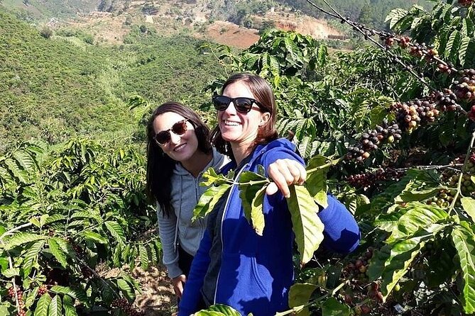Da Lat Loop Tour On Motorbike - Private Tour - Pongour Falls: the walk to the base is worth it