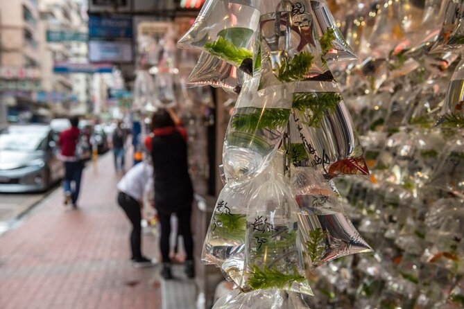 Dark Side of Hong Kong - Kowloon Caged Homes Walking Tour - Guides make the difference: why these tours keep winning trust
