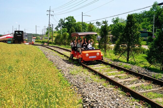 Day Trip to Nami Island with Rail bike and The Garden of Morning Calm - Nami Island (3.5 Hours): Tree-Lined Walking, Filming Spots, and Crowd Reality