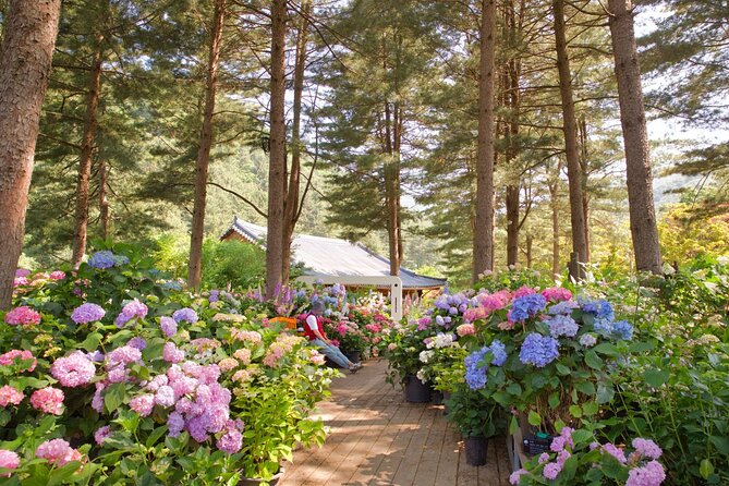 Day Trip to Nami Island with Rail bike and The Garden of Morning Calm - Guides Make (or Break) the Flow: Names You May Hear on This Tour