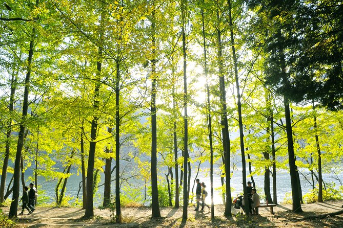 Day Trip to Nami Island with Rail bike and The Garden of Morning Calm - Timing Tips for an 11–12 Hour Day (Without Burning Out)