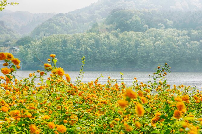 Day Trip to Nami Island with Rail bike and The Garden of Morning Calm - My Booking Verdict: Should You Choose This Nami + Rail Bike + Garden Tour?