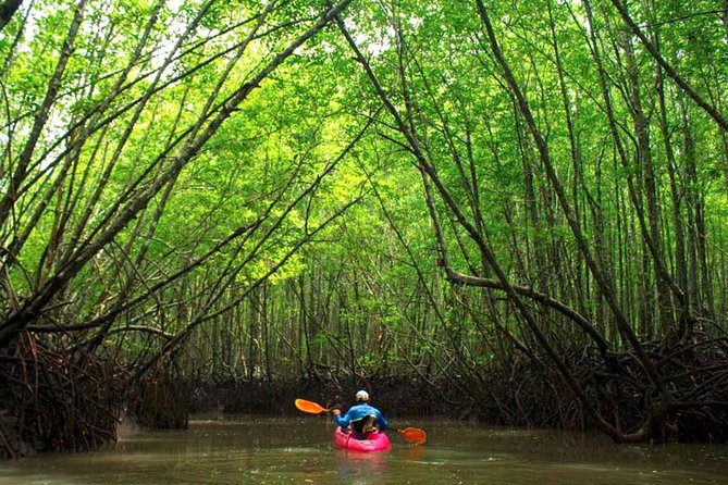 Deep Mangrove and Canyon Kayak Tour in Krabi - Key things to know before you paddle