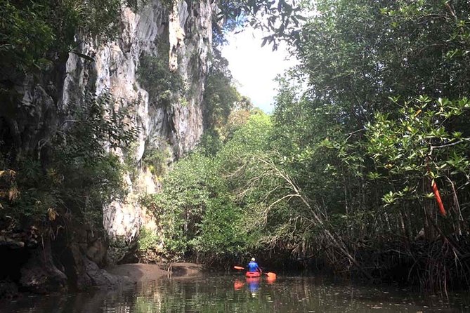 Deep Mangrove and Canyon Kayak Tour in Krabi - Transfers, gear, and snacks: what’s actually included