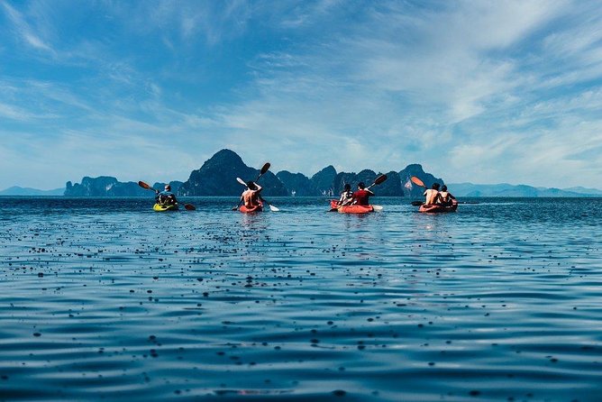 Deep Mangrove and Canyon Kayak Tour in Krabi - Deep mangrove paddling: silence, tunnels, and wildlife odds