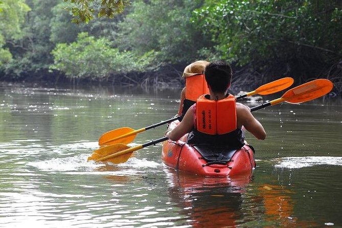 Deep Mangrove and Canyon Kayak Tour in Krabi - Stop-and-go moments: breaks, sandbanks, and photo timing