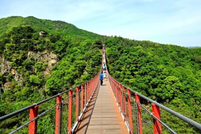 DMZ Tour from Seoul – Optional Suspension Bridge Experience - Price and Value: Why $27.50 Is Good (If You Match the Inclusions)