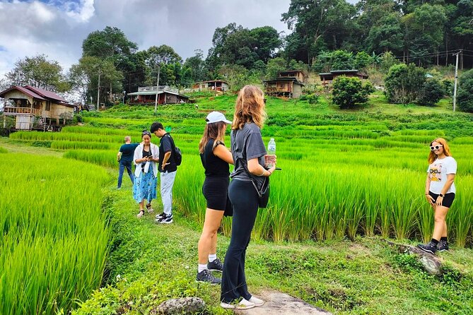 Doi Inthanon Waterfall and Royal Project Chiang Mai - Entrance fees and the real cost of the day