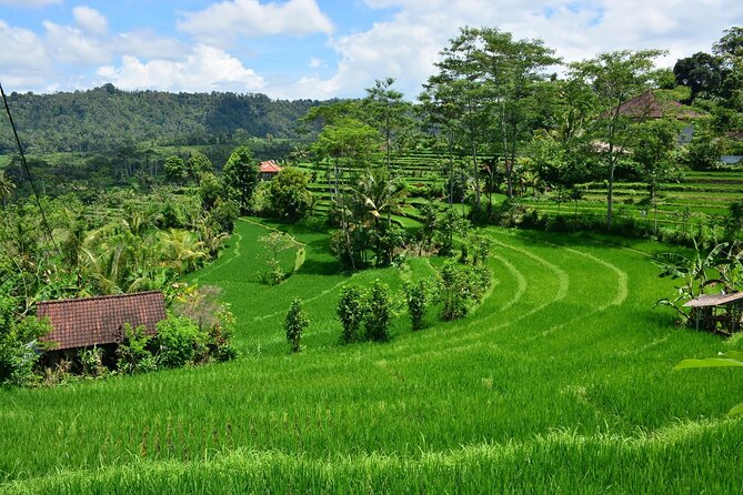 East Bali Tour: Gate of Heaven, Water Palace, Sleeping Gajah - Temple etiquette: one rule you must plan around