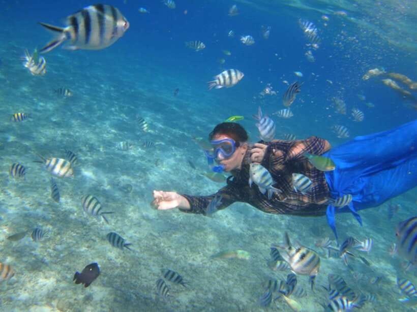 El Nido: Island Hopping Tour A Lagoons and Beaches - Snorkeling: Gear Choices and Coral Caution