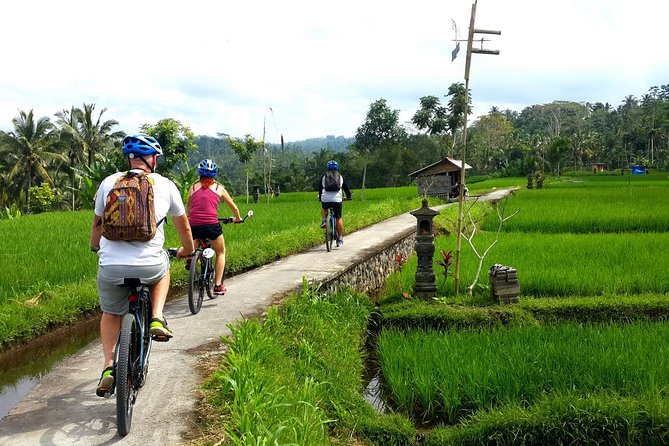 Electric Cycling Tour of Ubud with Free Hotel Transfer and Lunch - Why Ubud by E-Bike Feels Easier (but not totally hands-off)