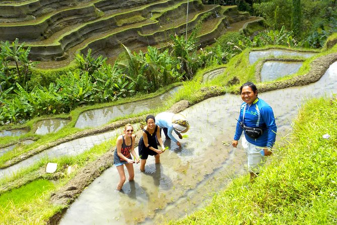 Electric Cycling Tour of Ubud with Free Hotel Transfer and Lunch - Stop 2: Tegalalang Rice Terrace for Big Views and Easy Photo Stops