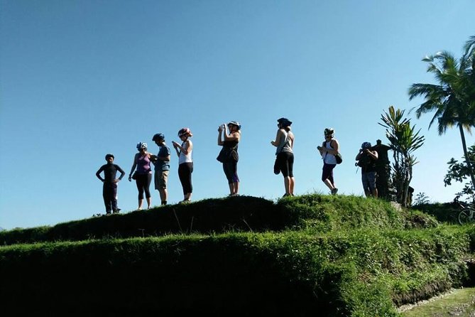 Electric Cycling Tour of Ubud with Free Hotel Transfer and Lunch - Safety and Skills: Who This Tour Is For (and Who Should Think Twice)