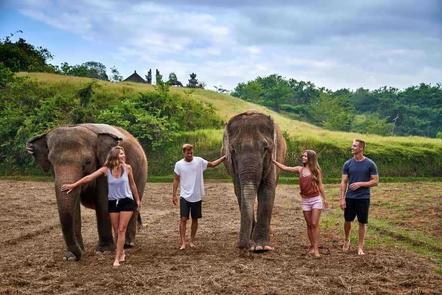 Elephant Care Experience with Mud Bath at Bali Zoo - Key takeaways before you book