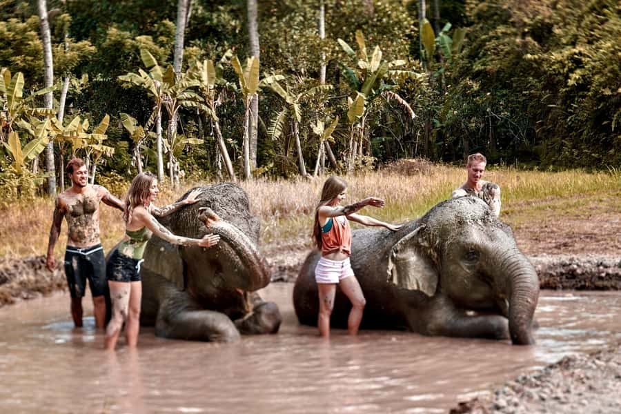 Elephant Care Experience with Mud Bath at Bali Zoo - Bali Zoo’s Elephant Care Day: Mud, Fruit, and Mahout Talk