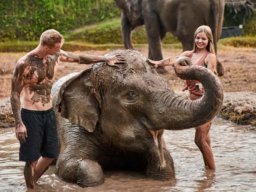 Elephant Care Experience with Mud Bath at Bali Zoo - Kampung Sumatra Intro: Coffee, Snack, Fruit, and Elephant Basics