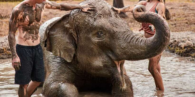 Elephant Care Experience with Mud Bath at Bali Zoo - Orangutan Breakfast Upgrade: Worth It for Early Birds