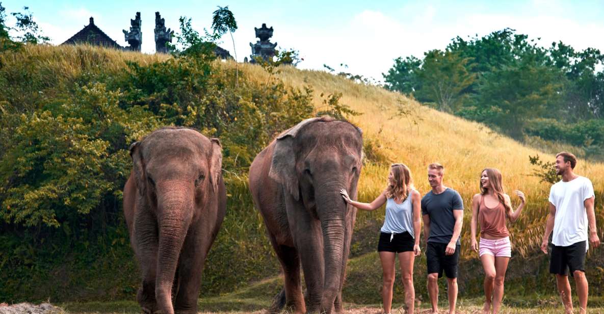 Elephant Care Experience with Mud Bath at Bali Zoo - Price and Value: Is $93 Fair for This Much Active Time?