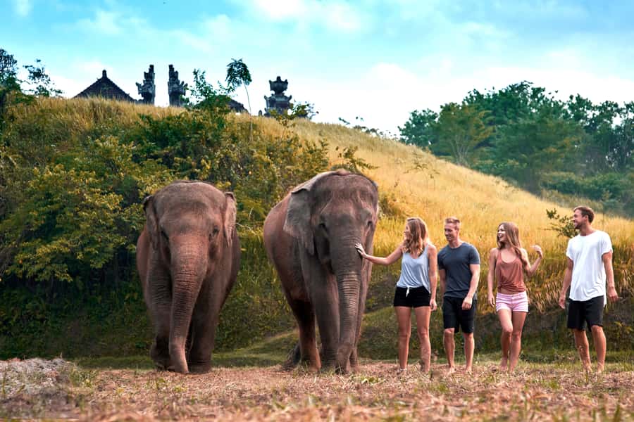 Elephant Care Experience with Mud Bath at Bali Zoo - Pickup Times, How Long It Takes, and Where the Day Starts