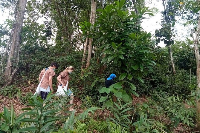 Elephant Sanctuary Small Group Tour in Phuket - Key highlights you’ll feel on the day