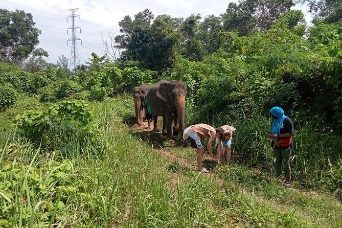 Elephant Sanctuary Small Group Tour in Phuket - Guides: the human factor (and why named guides matter)