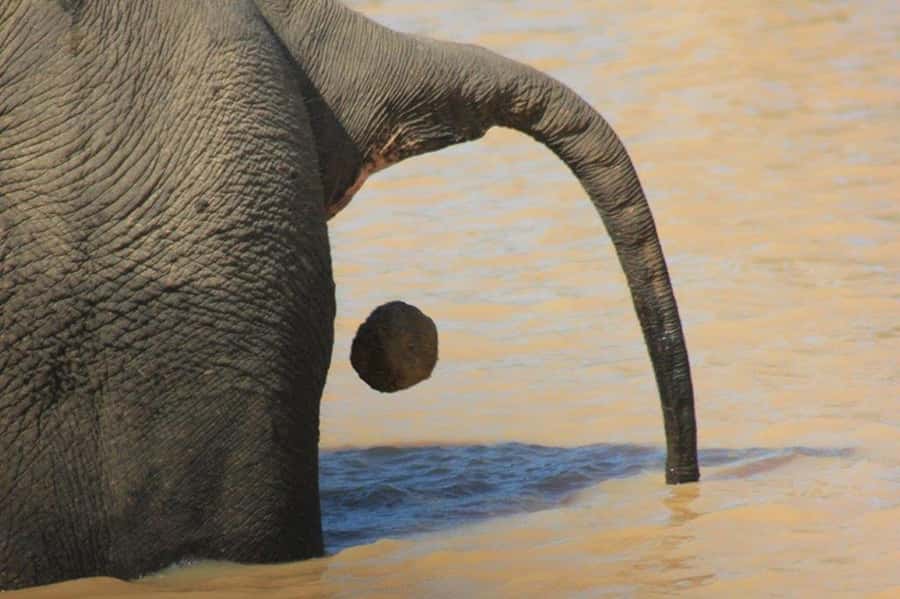Ella: Drop to Tangalle/Hiriketiya/Mirissa/Galle & Yala Tour - Patanangala Break: The Short Stop That Helps You Stay Sharp