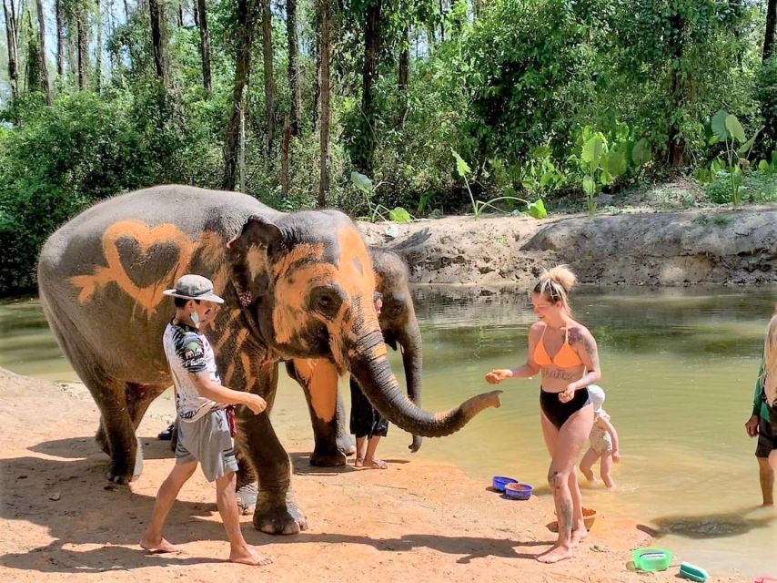 Ethical Elephant Sanctuary Experience in Khao Lak - Ethical Elephant Care, With Your Feet on the Ground