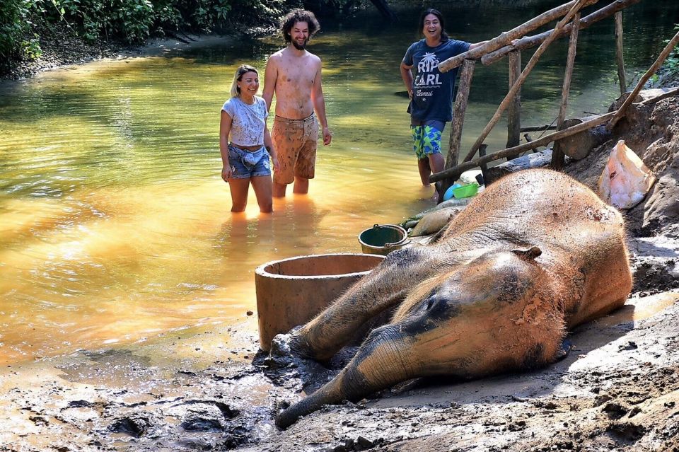 Ethical Elephant Sanctuary Experience in Khao Lak - Who This Tour Suits Best in Khao Lak