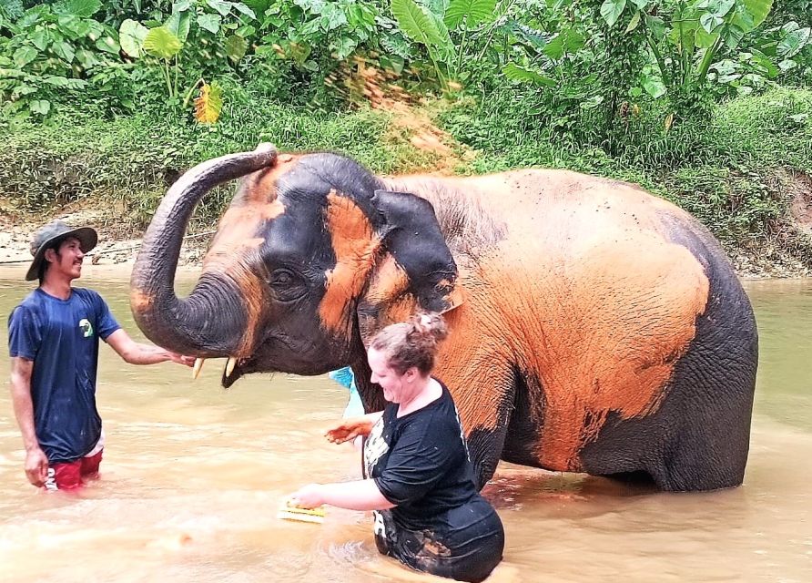 Ethical Elephant Sanctuary Experience in Khao Lak - Getting To Khao Lak Elephant Conservation: The Quiet, Air-Conditioned Start