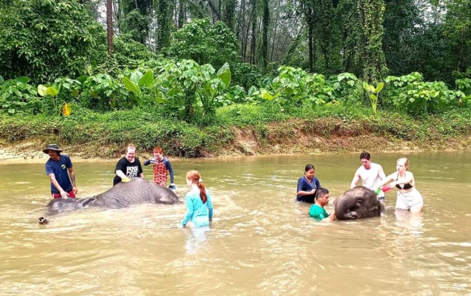 Ethical Elephant Sanctuary Experience in Khao Lak - Herbal Workshop Time and Ya Dom Making