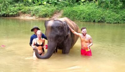 Ethical Elephant Sanctuary Experience in Khao Lak - The Welcome Briefing: From Elephant Culture to Modern Welfare