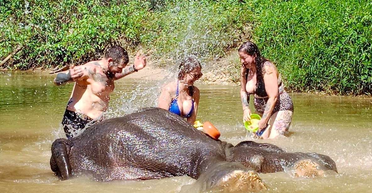 Ethical Elephant Sanctuary Experience in Khao Lak - Meeting the Elephants One by One: Mahouts Set the Tone