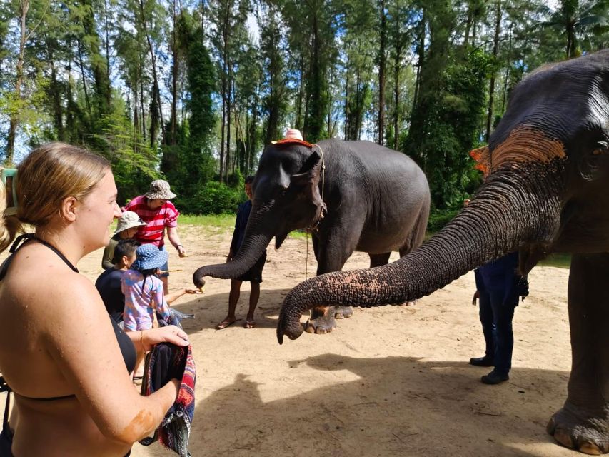 Ethical Elephant Sanctuary Experience in Khao Lak - Mud-Bath Viewing by the Creek: Watching, Not Forcing