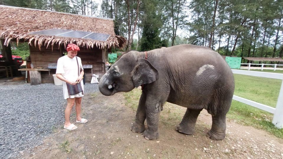 Ethical Elephant Sanctuary Experience in Khao Lak - Khanom Krok Coconut Pancakes: A Thai Snack Workshop That Keeps Things Real