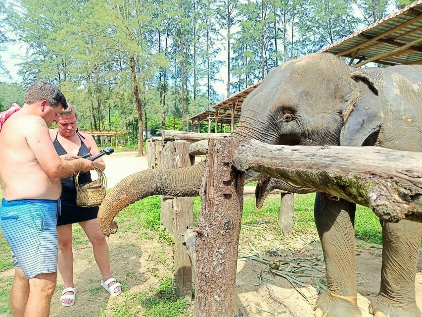 Ethical Elephant Sanctuary Experience in Khao Lak - Price and Value: What You Get for Around $56