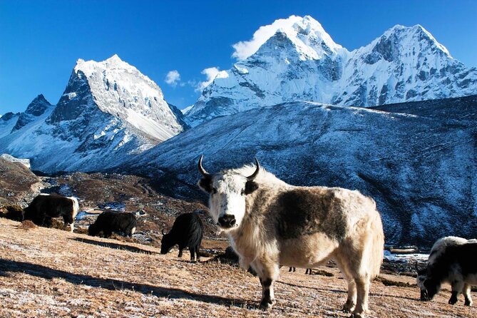 Everest Base Camp Trekking - Why Everest Base Camp feels like a guided hike, not a moving problem